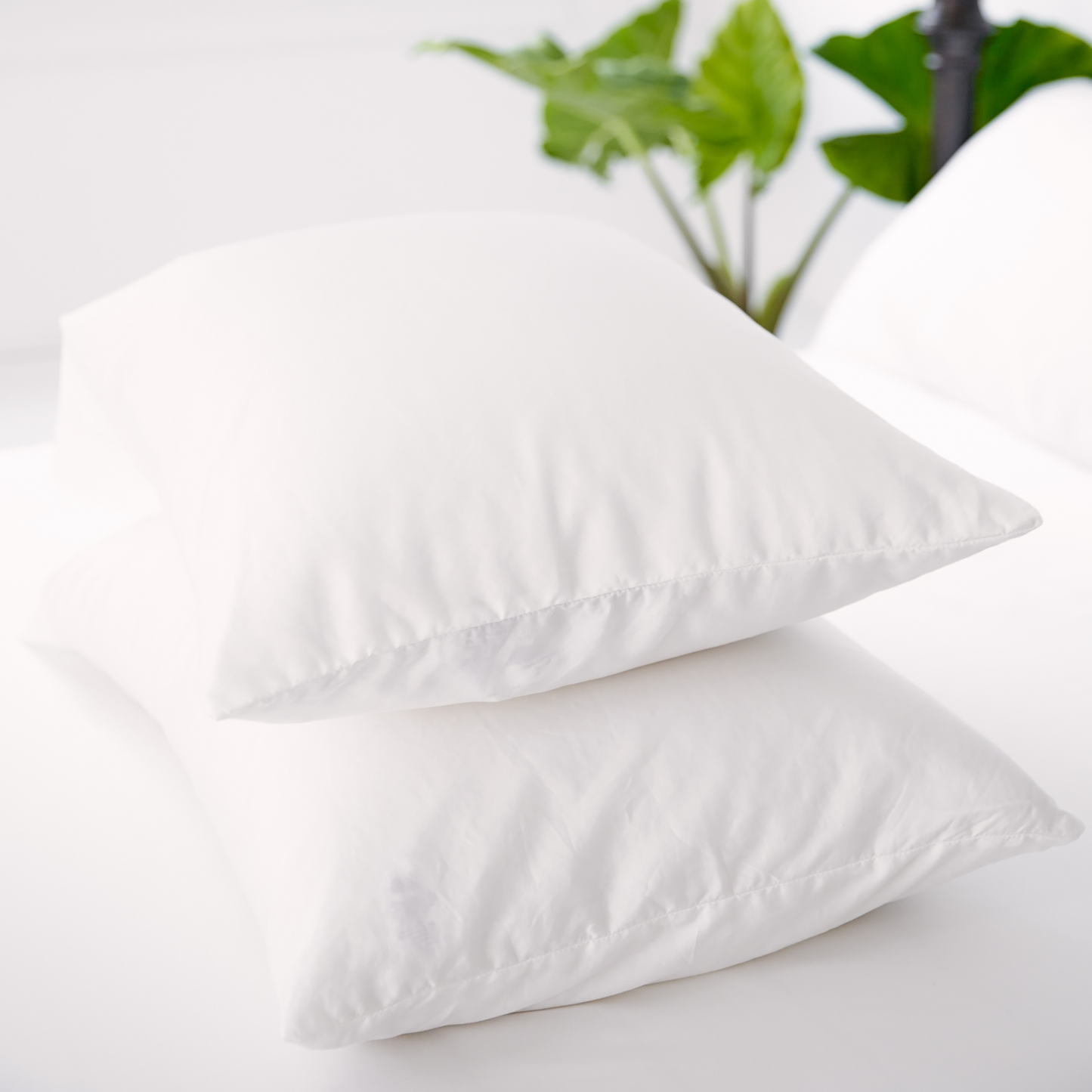 Nollapelli two white pillowcases on top of bed